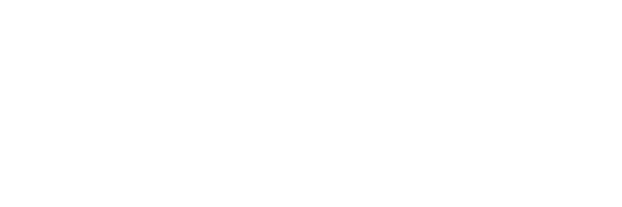 ZEN 6 